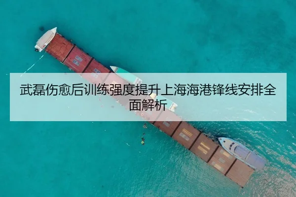 武磊伤愈后训练强度提升上海海港锋线安排全面解析 | 8868Sports